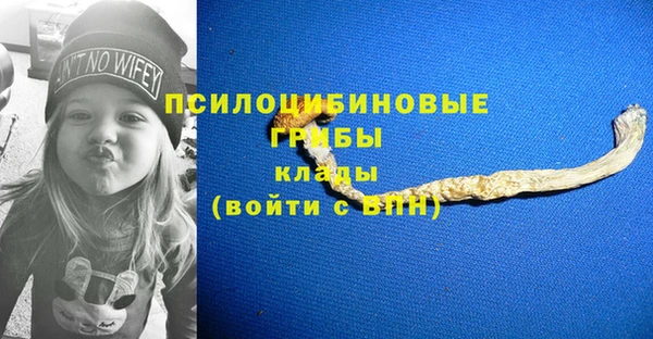 метадон Богданович