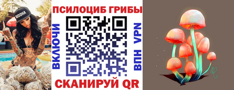 KRAKEN вход  купить наркотики цена  Верхний Тагил  Псилоцибиновые грибы Psilocybe 